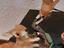 Immagine 2