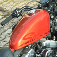 Forty eight