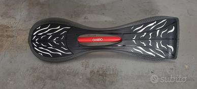 skateboard 2 ruote