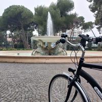 Bici Vicini
