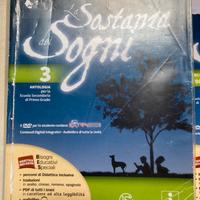 La sostanza dei Sogni