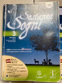 La sostanza dei Sogni