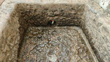 vasca vecchia  mangiatoia in pietra da giardino 