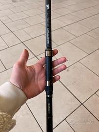 Canna da pesca carpfishing