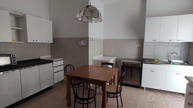 Posto in camera doppia - Porta Vescovo