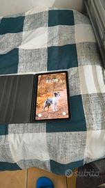 Galaxy tab S6 lite