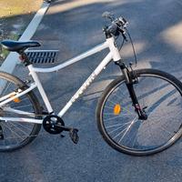 Bici da donna