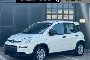 FIAT Panda 1.0 Hybrid My25 *COLORE E PACK CITY O