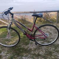 CITY BIKE IBRIDA    DONNA      Escape