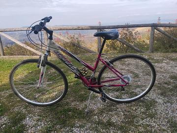 CITY BIKE IBRIDA DONNA Escape Biciclette In vendita a Cuneo