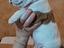 Immagine 3