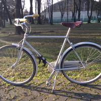 Bicicletta uomo ABICI Italia