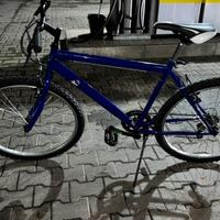 Bici baci perugina