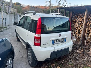 Fiat Panda 1.3 MJT 4x4 Van Active Trekking 2 posti