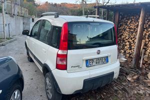Fiat Panda 1.3 MJT 4x4 Van Active Trekking 2 posti