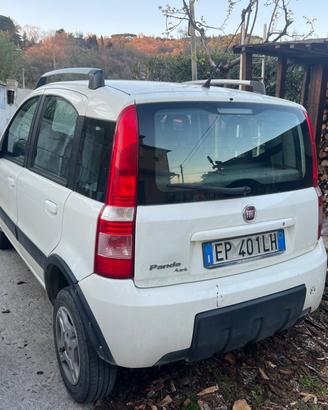 Fiat Panda 1.3 MJT 4x4 Van Active Trekking 2 posti