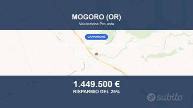 Immobile in asta di 7880 m² a Mogoro