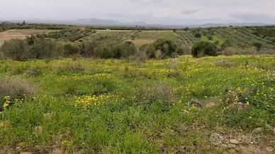 Belpasso terreno agricolo