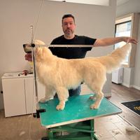 Toelettatura professionale "PerDuePeli"