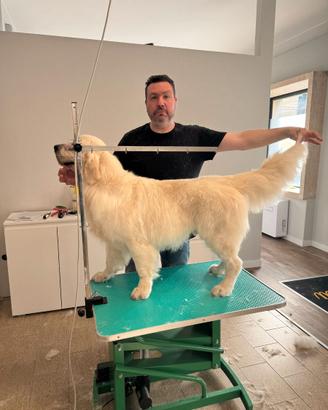 Toelettatura professionale "PerDuePeli"