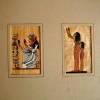 Papiro Egizio ( 2 pezzi )