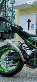 Scarico Arrow Z900 anno 2024