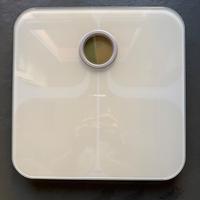 Bilancia FitBit Aria