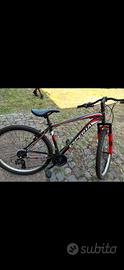 Bicicletta nuova