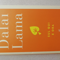 Dalai Lama sul qui e ora