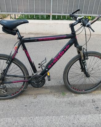 Mountain bike