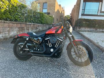 Harley Davidson sporster iron 883