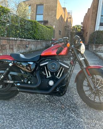 Harley Davidson sporster iron 883