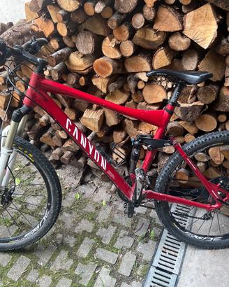 bicicletta canyon bioamortizzata