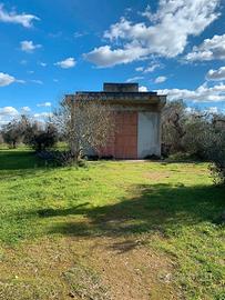 Terreno agricolo di 3,5 ettari con caseggiato