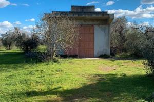 Terreno agricolo di 3,5 ettari con caseggiato