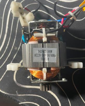 Motore Brushed 500W AC 220-240V 5425M23
