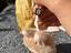 Immagine 2