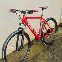 Mtb LOMBARDO con cerchi da 29