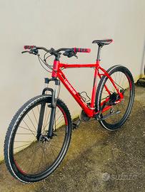 Mtb LOMBARDO con cerchi da 29