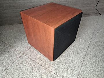 sub woofer attivo