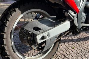 aprilia pegaso