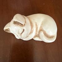 Gattino bianco Thun