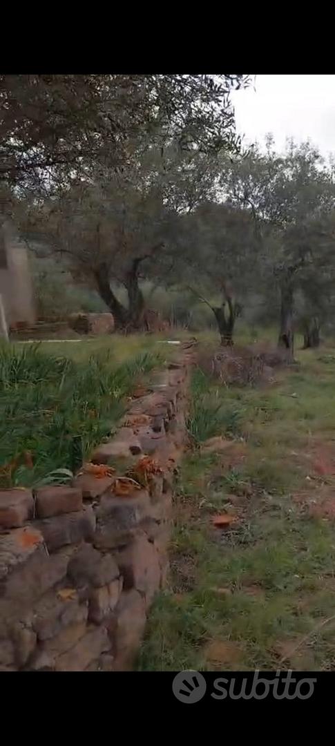 Vendita terreno - Altro
