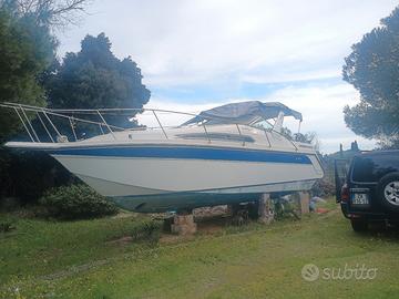 cabin americano Thompson Santa Cruz 31 cruiser 