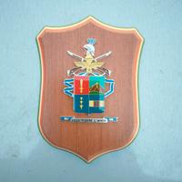 crest 9° Paracadutisti "col Moschin" ( anni 80)