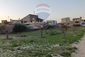 Terreno Edificabile - Mazzarrone