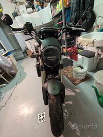 Benelli leoncino 800