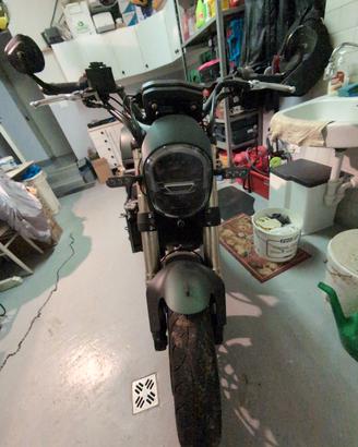 Benelli leoncino 800