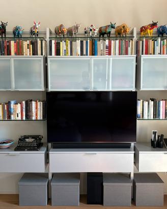 Parete/ Libreria TV Calligaris