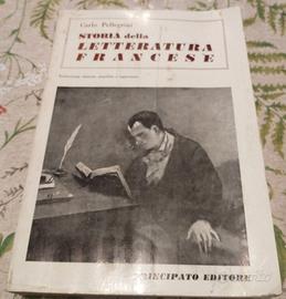 Storia della letteratura francese 